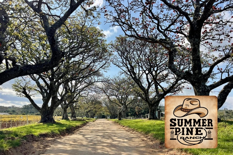 Summer Pine Ranch GRAND OPENING